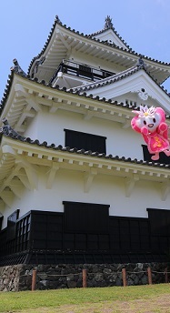 館山城とふ～ちゃんの写真